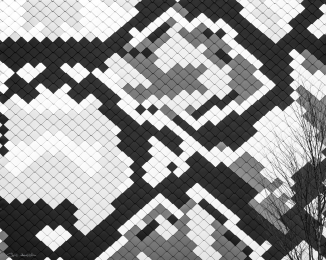 ZB-2376-1x1-16x9-©XSS-Couleurs et géométrie.jpg